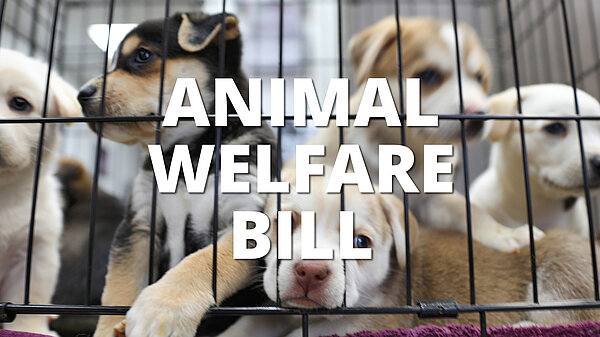 Animal Welfare Bill