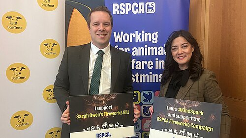 Tom Morrison MP is backing the RSPCA Fireworks Bill