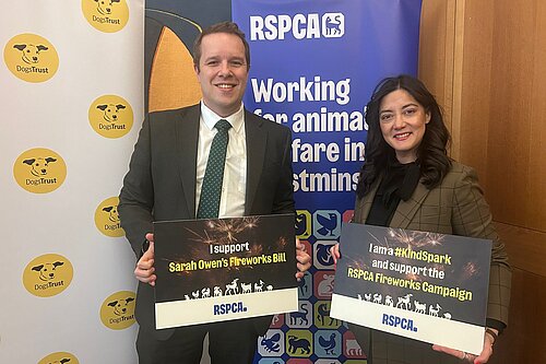 Tom Morrison MP is backing the RSPCA Fireworks Bill